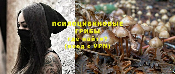 ПСИЛОЦИБИНОВЫЕ ГРИБЫ Абдулино