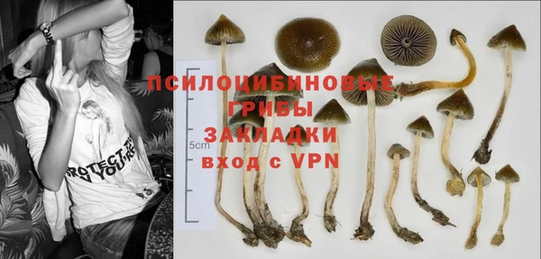 PSILOCYBIN Абаза