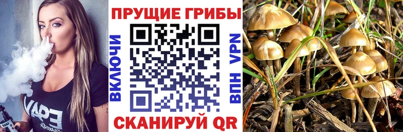 Галлюциногенные грибы Cubensis цены наркотик Чухлома